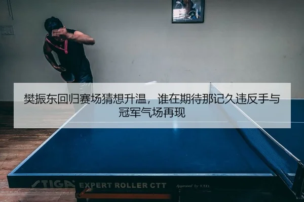 樊振东回归赛场猜想升温，谁在期待那记久违反手与冠军气场再现